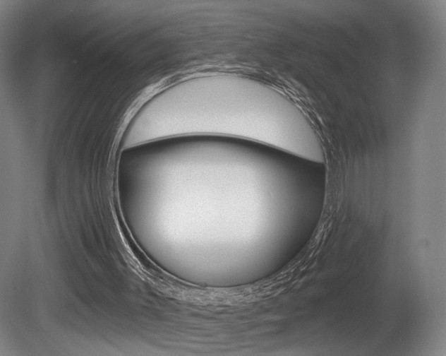 X0000080740003200612150944