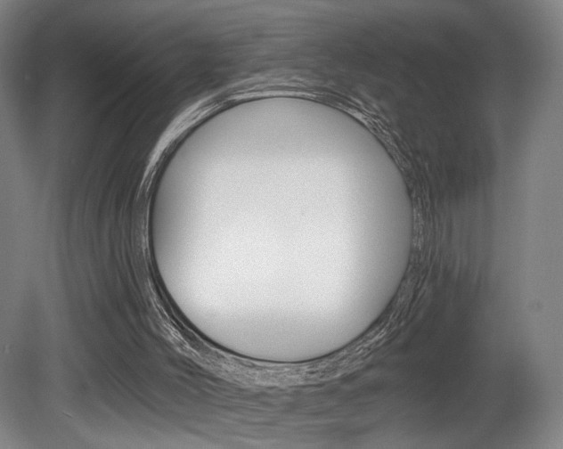 X0000080740004200612150944