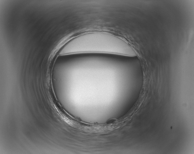 X0000080740005200612150944