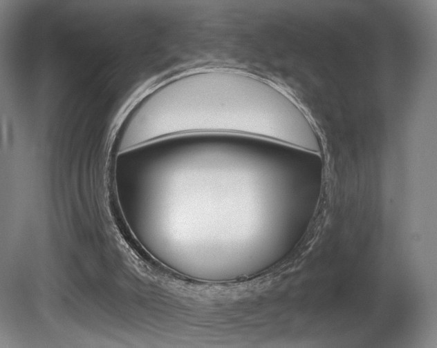 X0000080740007200612150944