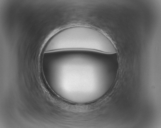 X0000080740008200612150944
