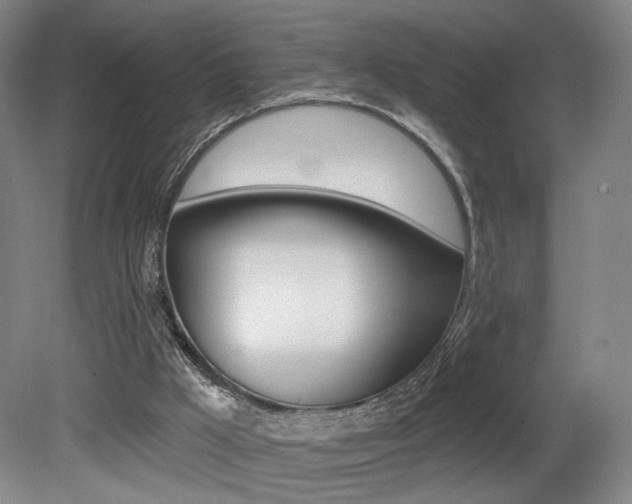 X0000080740009200612150944