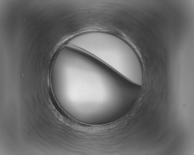 X0000080740011200612150944