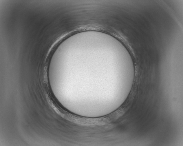 X0000080740012200612150944
