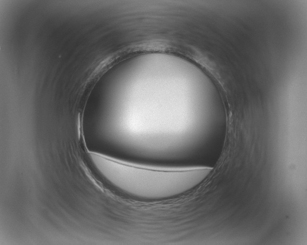 X0000080740013200612150944