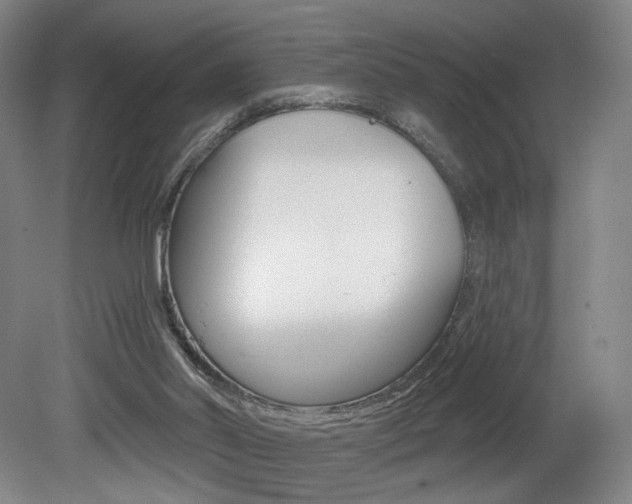 X0000080740014200612150944