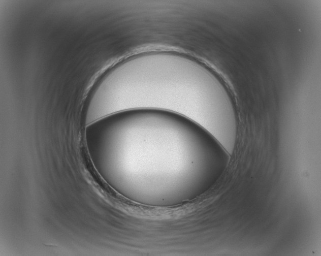 X0000080740015200612150944