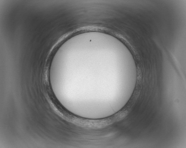 X0000080740016200612150944