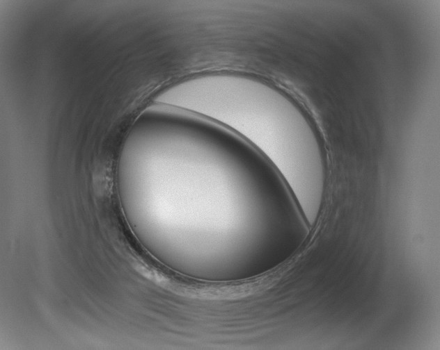 X0000080740017200612150944