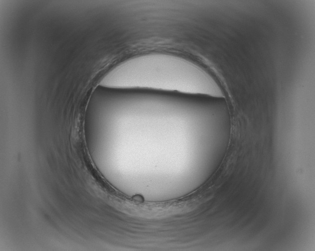 X0000080740018200612150944