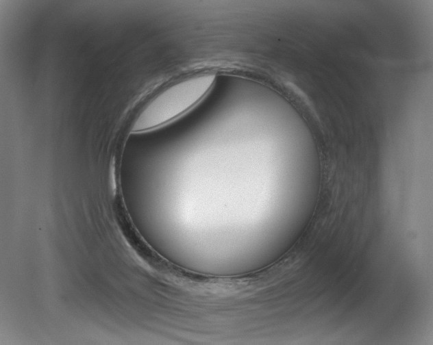 X0000080740020200612150944