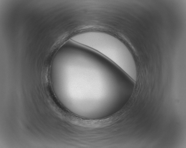X0000080740023200612150944