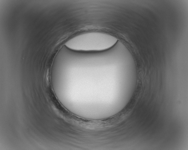 X0000080740024200612150943