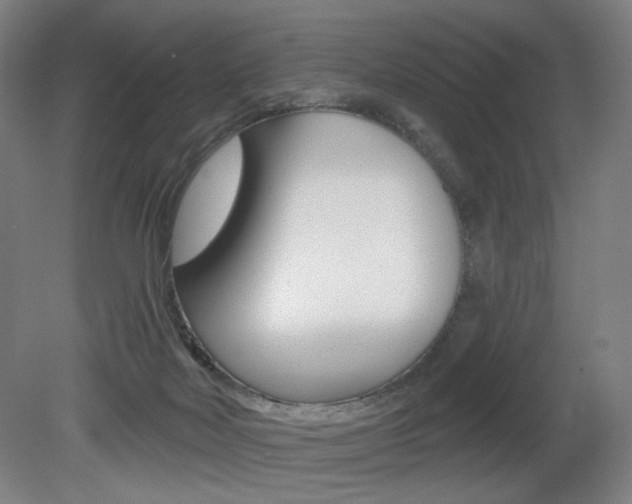 X0000080740026200612150943