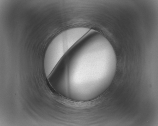X0000080740027200612150943