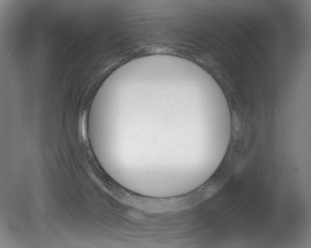 X0000080740028200612150943