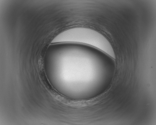 X0000080740029200612150943
