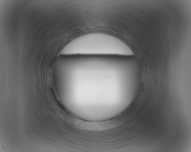 X0000080740030200612150943