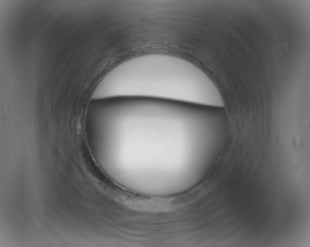 X0000080740032200612150943