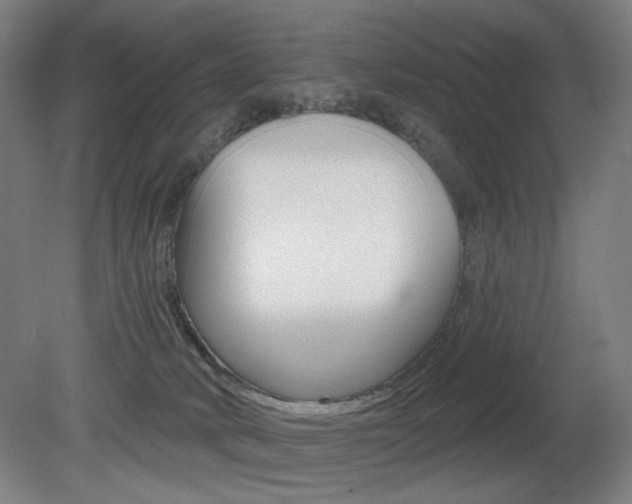 X0000080740034200612150943