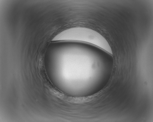 X0000080740037200612150943