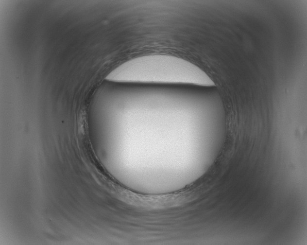 X0000080740038200612150943