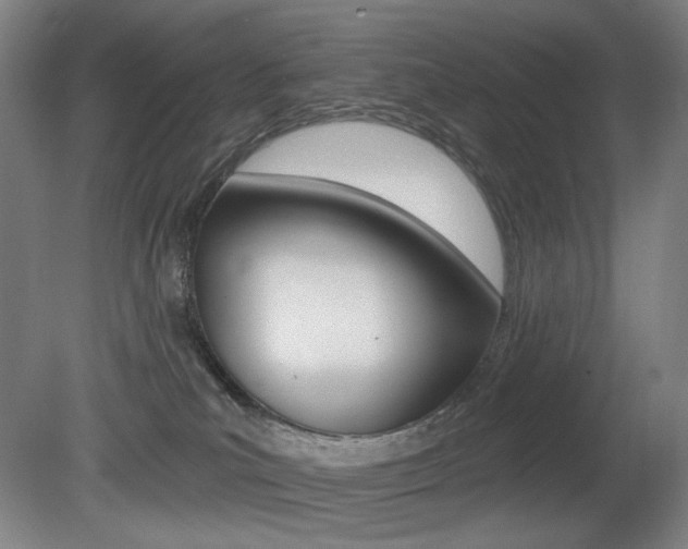 X0000080740039200612150943