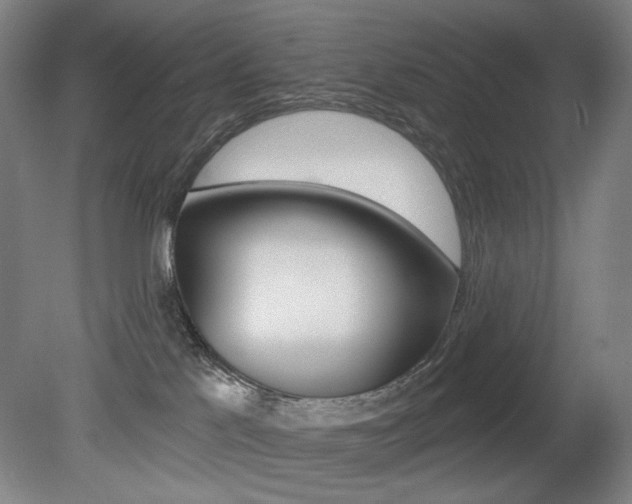 X0000080740041200612150943