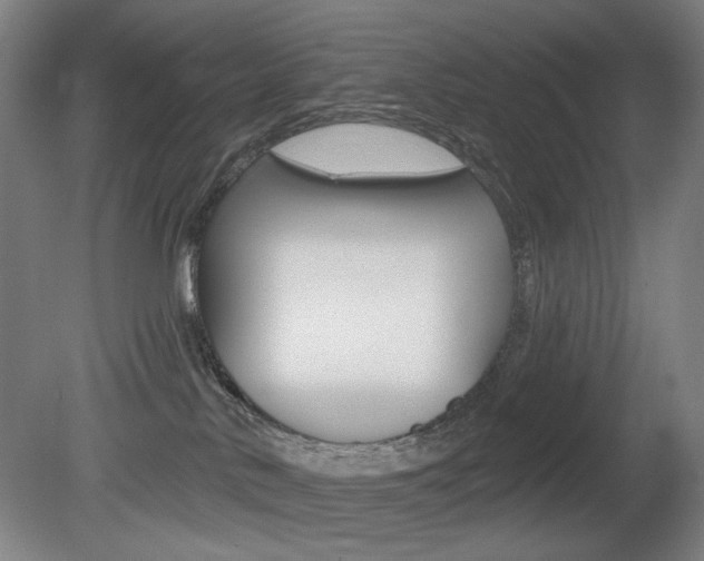 X0000080740042200612150943