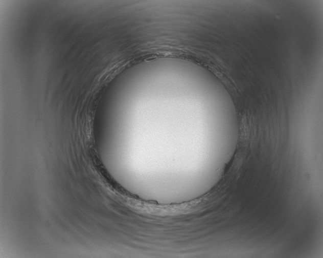 X0000080740043200612150943
