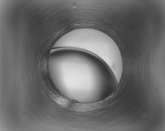X0000080740045200612150943