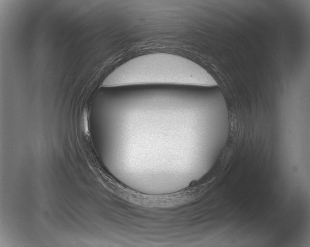 X0000080740046200612150943