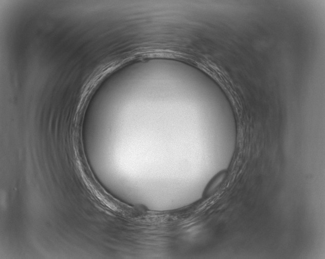 X0000080740049200612150942