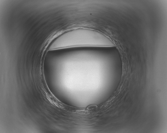 X0000080740050200612150942