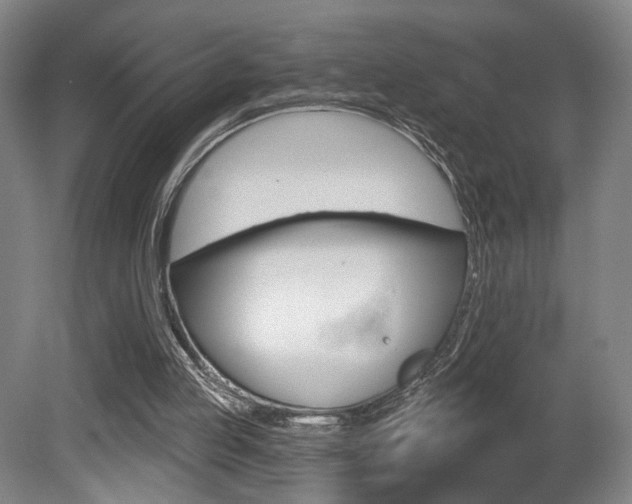 X0000080740053200612150942