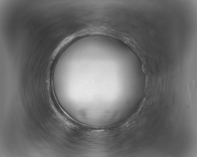 X0000080740054200612150942