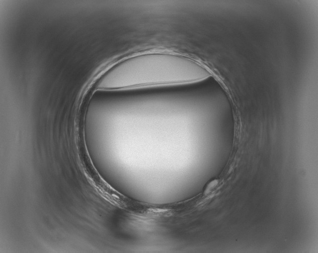X0000080740055200612150942