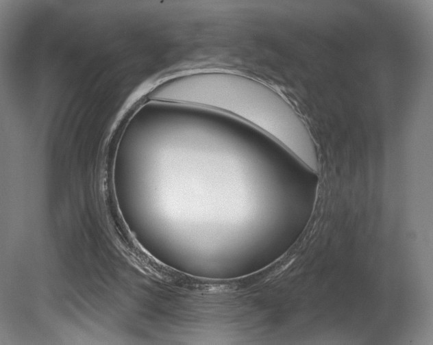 X0000080740056200612150942