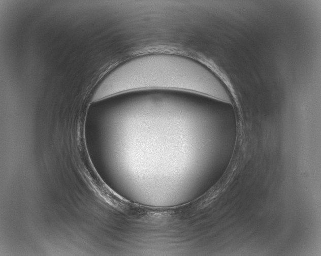 X0000080740057200612150942