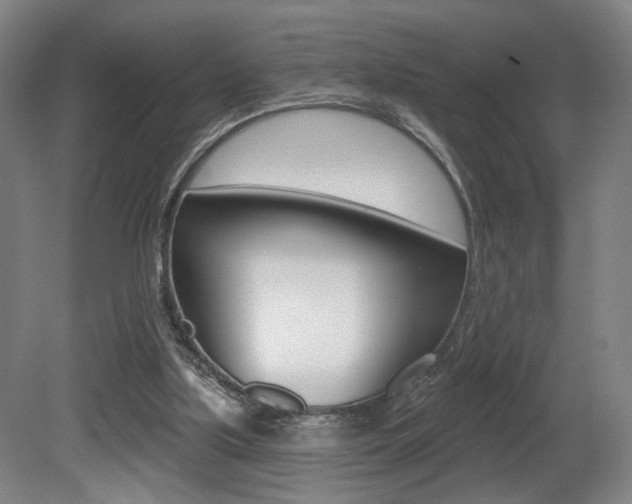 X0000080740059200612150942