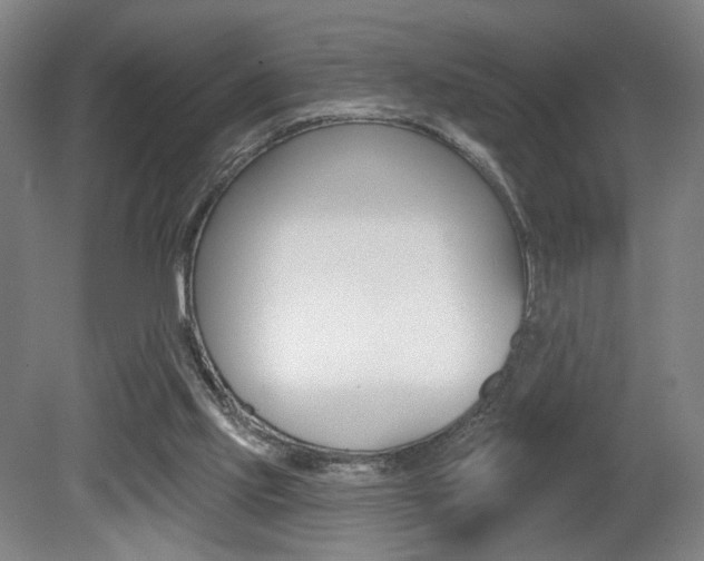 X0000080740061200612150942