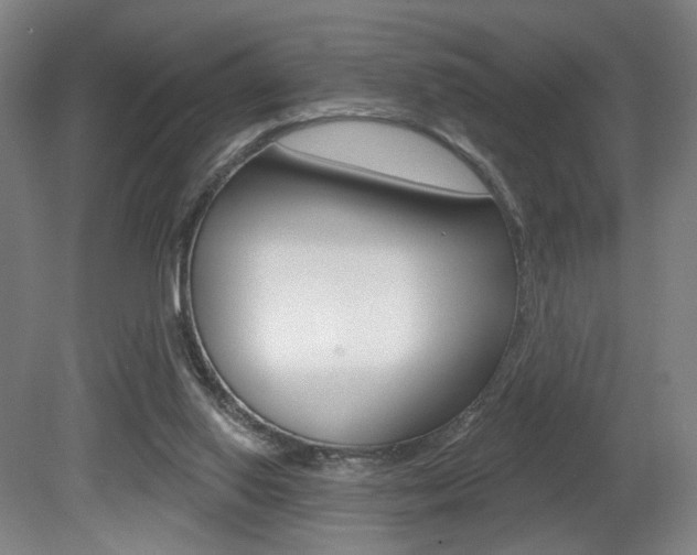 X0000080740062200612150943
