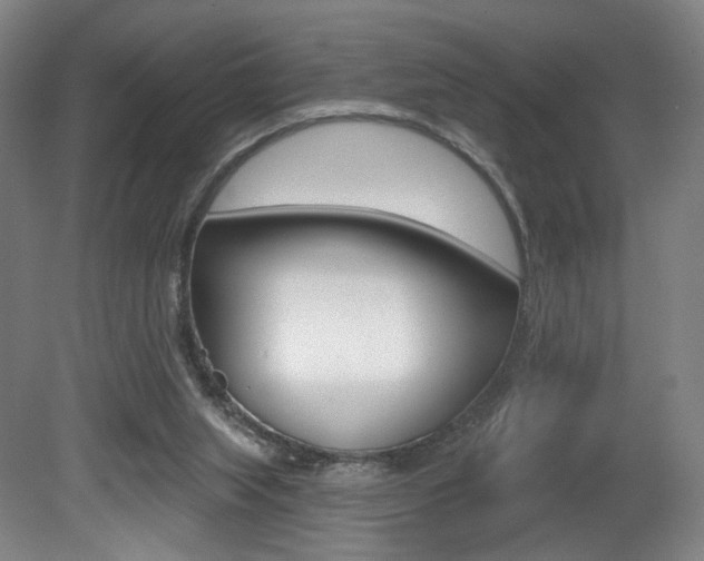 X0000080740063200612150943
