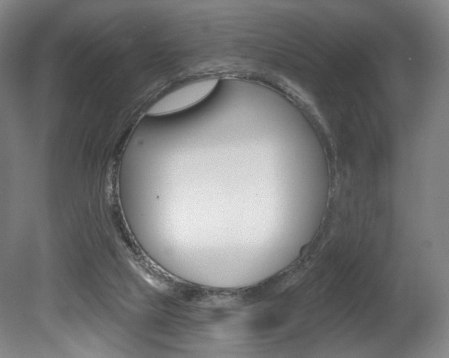 X0000080740065200612150943