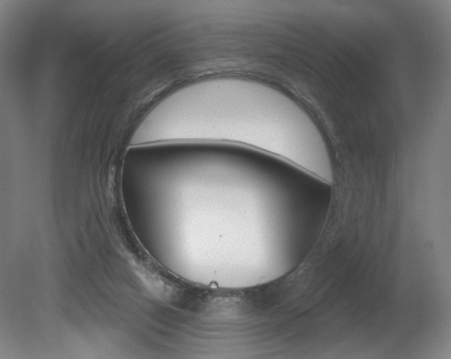 X0000080740066200612150943