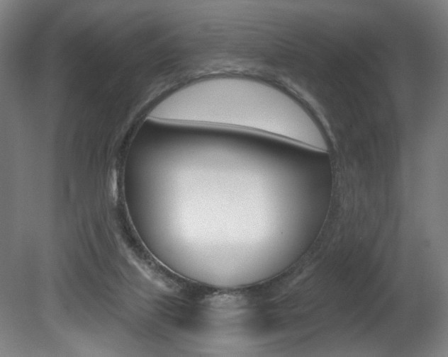 X0000080740067200612150943