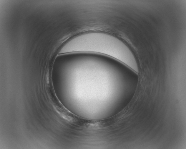 X0000080740068200612150943
