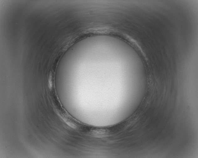 X0000080740069200612150943