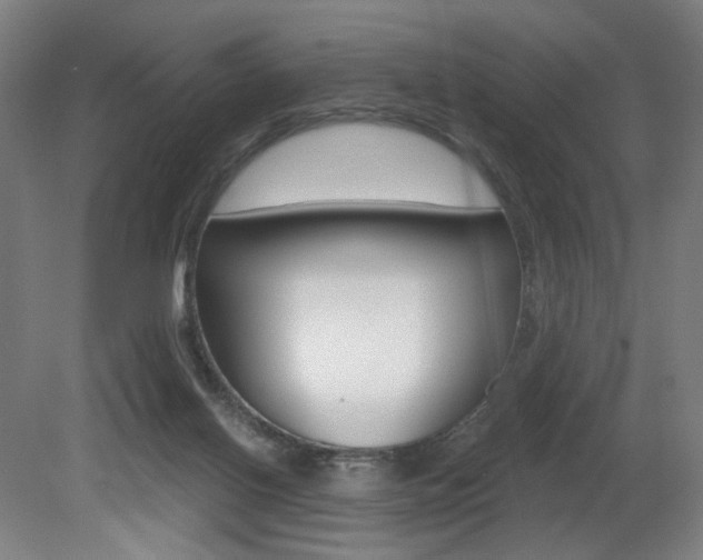 X0000080740070200612150943