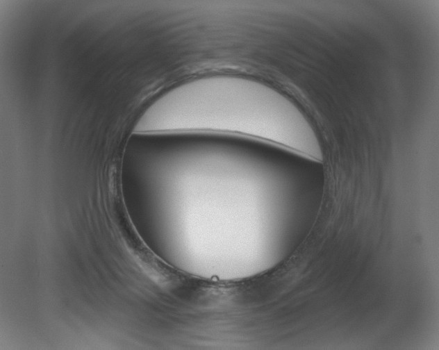 X0000080740071200612150943